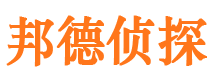 市中市侦探公司